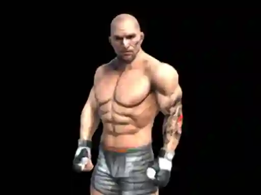 Spēle Fight Arena Online online