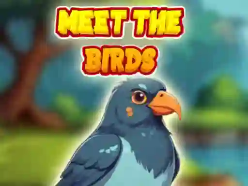 Spēle Meet The Birds online
