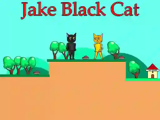 Spēle Jake Black Cat online