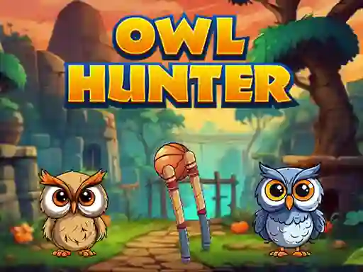 Spēle Owl Hunter online