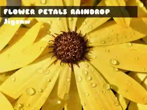 Spēle Flower Petals Raindrop Jigsaw online