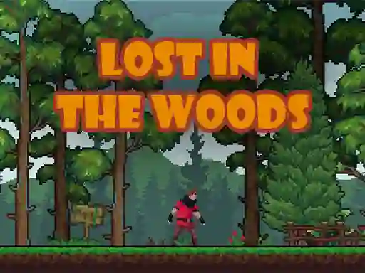Spēle Lost in the Woods online