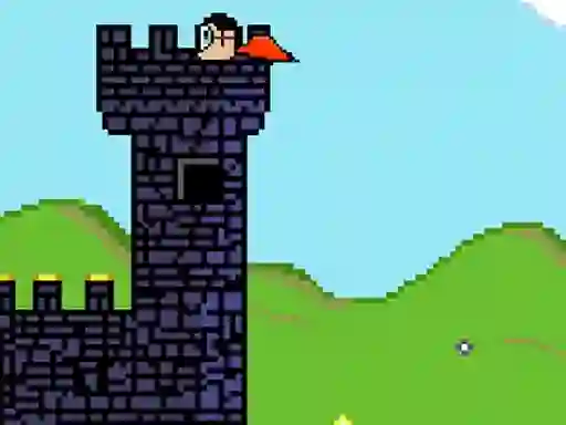 Spēle Bird Hunter online