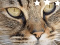 Spēle Finierzāģis Puzzle Classic online