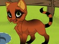 Spēle Mans Kitten  online