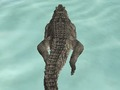 Spēle Krokodilu simulators pludmales medības  online