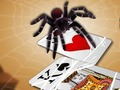 Spēle Lekt spider  online