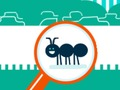 Spēle Squashy Bug online