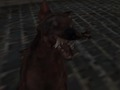 Spēle Nacistu zombiju armija  online