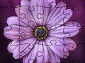 Spēle Finierzāģis puzzle vasara  online