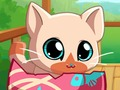 Spēle Mans pocket mājdzīvnieks kaķēns kaķis  online