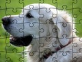 Spēle Jigsaw Puzzle Mājas dzīvnieki  online