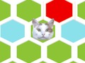 Spēle Trap Cat  online
