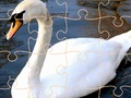 Spēle Swan mīklu izaicinājums online