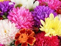Spēle 2019 Mātes dienas puzzle  online