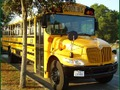 Spēle Skolas autobusu puzzle  online