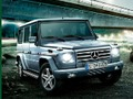Spēle Apvidus auto mīkla  online