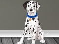 Spēle Veterinārā ārsta aizbēgšana 2  online