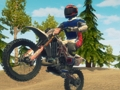 Spēle Netīrumu velosipēds enduro sacīkstes online