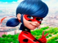 Spēle Jigsaw Puzzle kolekcija LadyBug  online