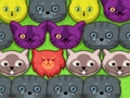 Spēle Pop-pop kitties online