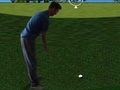 Spēle Flash Golf 3D  online