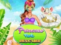 Spēle Princese mājdzīvnieku glābējs  online