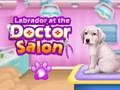 Spēle Labradors ārsta salonā  online