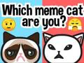 Spēle Kurš mēmu kaķis tu esi?  online