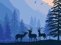Spēle Ainavu paradīze slēptā  online