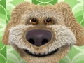 Spēle Talking Ben Jigsaw Puzzle kolekcija  online