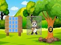 Spēle Glābiet Panda Explorer  online