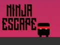 Spēle Nindzju bēgšana  online