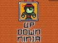 Spēle Uz augšu Leju Ninja  online