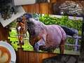 Spēle Finierzāģa puzzle Horses izdevums online