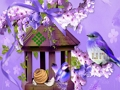 Spēle Brīnišķīga kolibri aizbēgšana no zemes  online