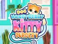 Spēle Doc HoneyBerry Kitijas ķirurģija  online