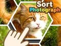 Spēle Kārtot fotoattēlu  online