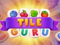 Spēle Flīžu Guru  online