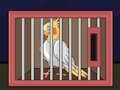 Spēle Atlaidiet The Cockatiel Bird  online