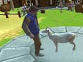 Spēle Trakās kazas simulators  online