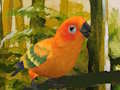 Spēle Jauka budgie puzzle  online