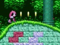 Spēle Varens un Rejs Sonic 2 online