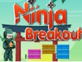 Spēle Nindzju izlaušanās  online