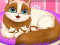 Spēle Jaukā Kitty grūtniece  online