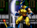 Spēle Wolverine - Adamantium Rage online