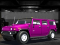 Spēle Savvaļas rases meistars 3D online