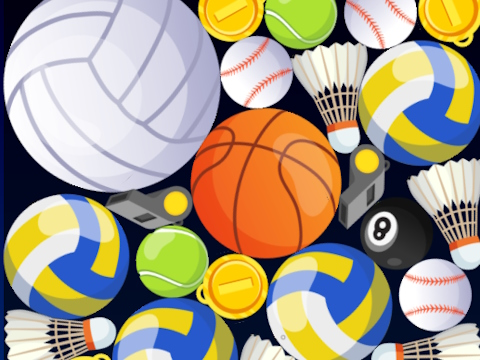 Spēle Sporta sapludināšana  online