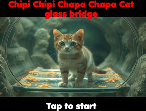 Spēle Chipi chipi chapa chapa cat stikla tilts  online