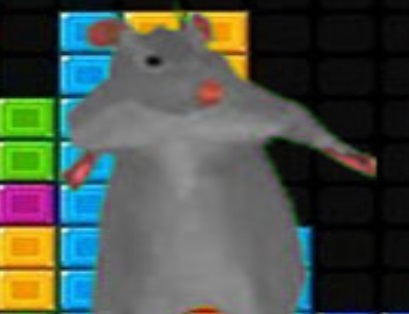 Spēle Ratomilton krītošo bloku  online